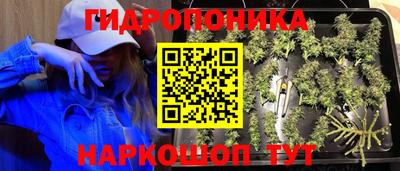 амф Кинель