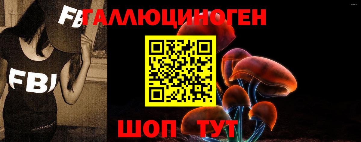 Псилоцибиновые грибы мицелий  Псилоцибиновые грибы MAGIC MUSHROOMS  Дюртюли  Вход с VPN 